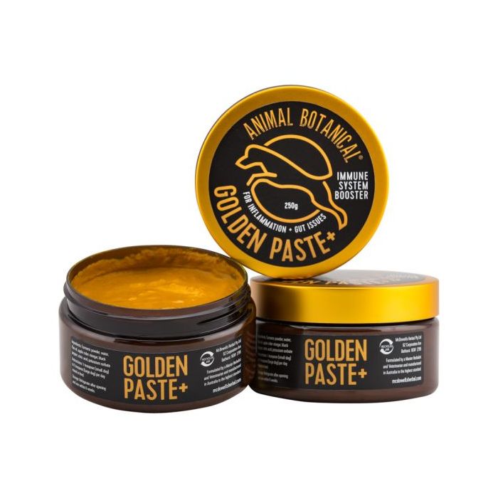 Golden Paste +