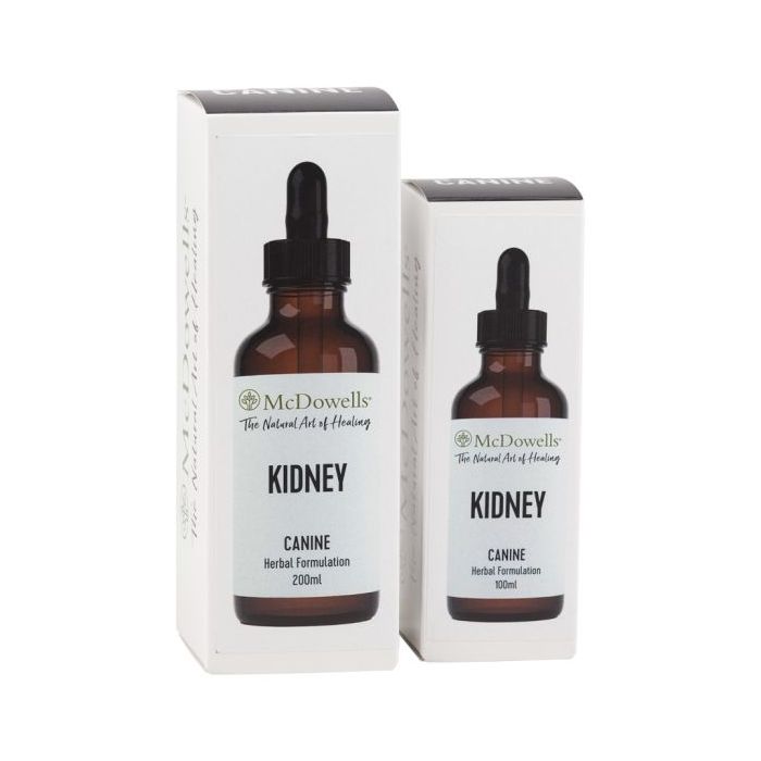 Kidney