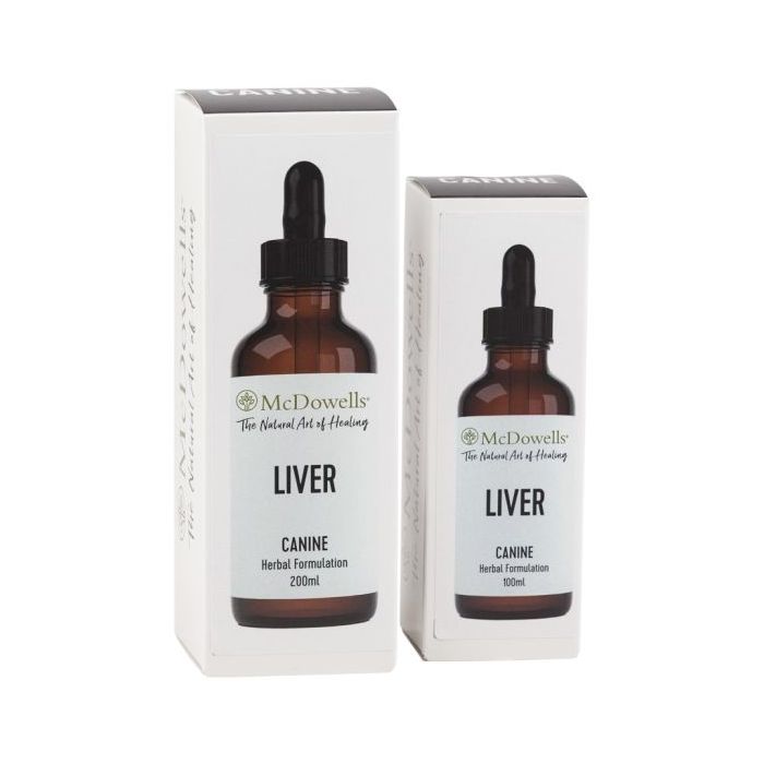 Liver